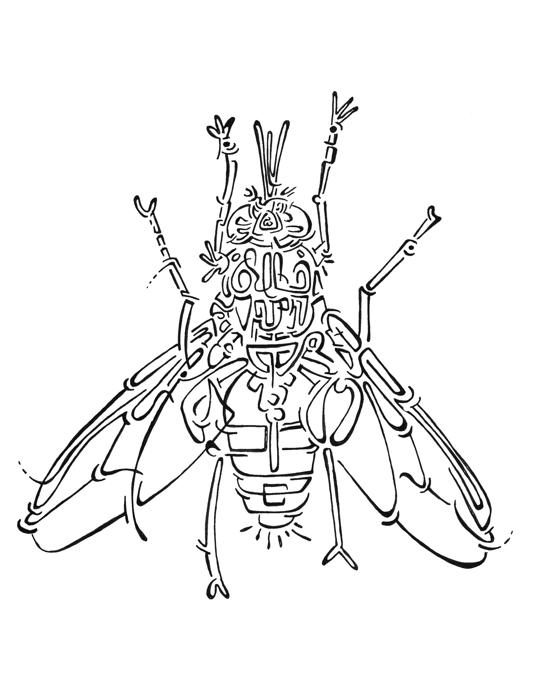 Mouche en grand format